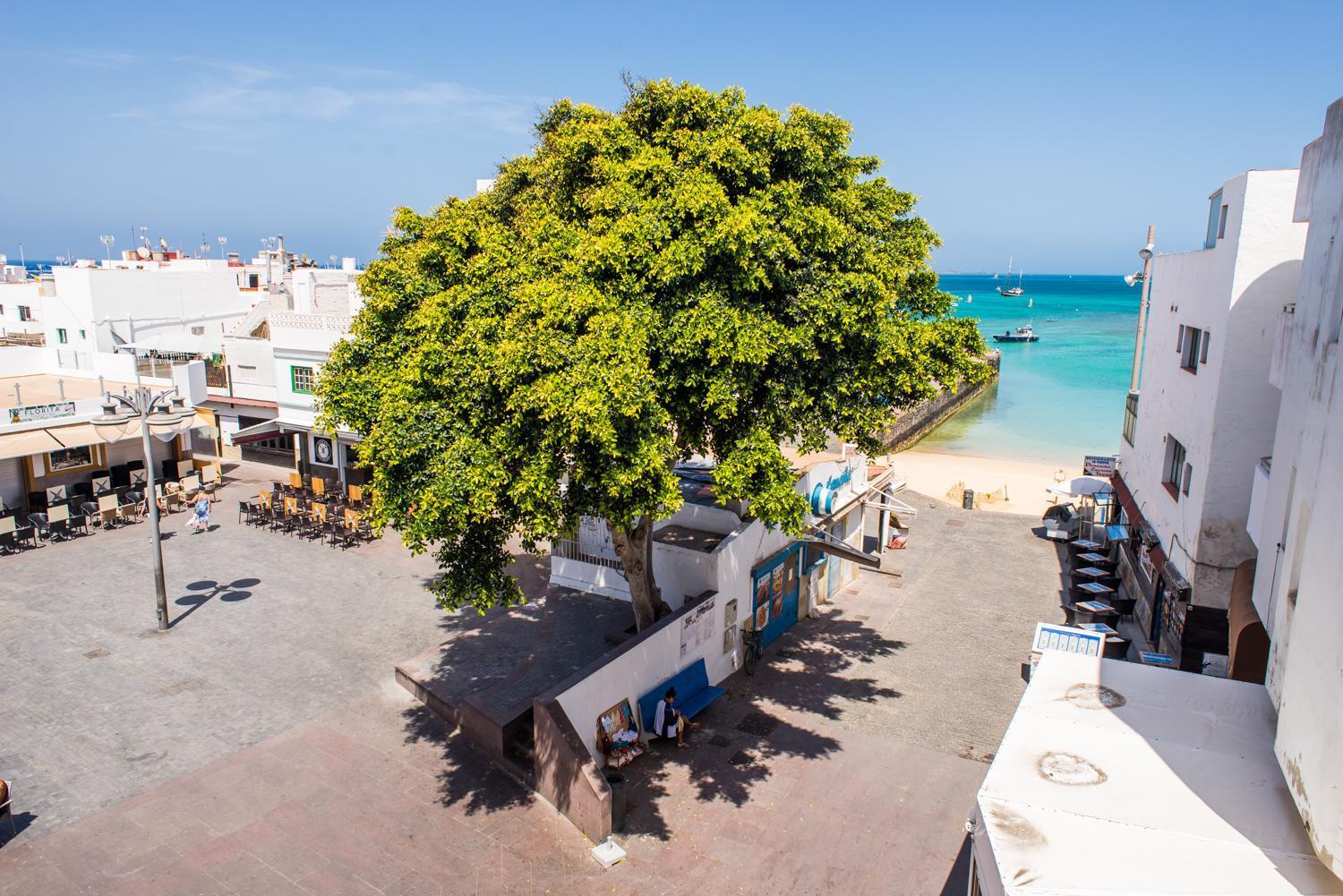 4Rooms Fuerteventura คอร์ราเลโฮ ภายนอก รูปภาพ
